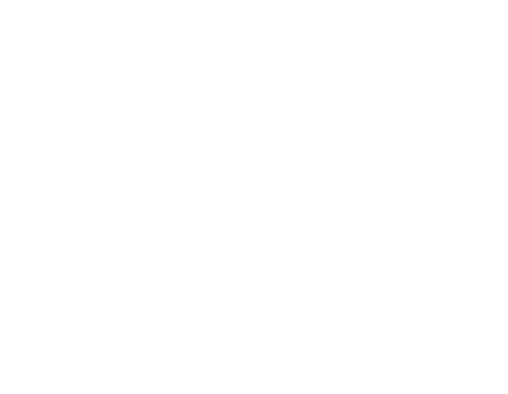 Black Hills Property Solutions LLC
